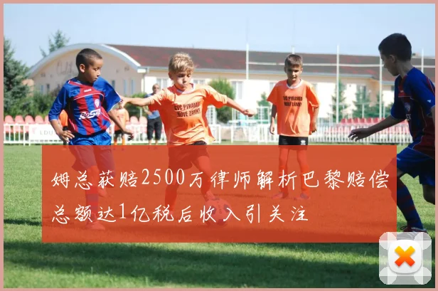 姆总获赔2500万律师解析巴黎赔偿总额达1亿税后收入引关注