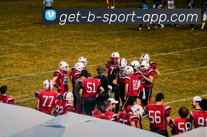 B体育APP 封面图